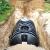 Comment installer une fosse septique ?
